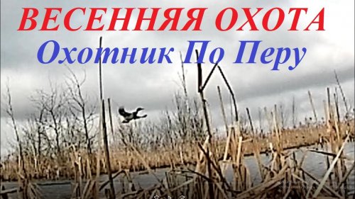 Душевная ОХОТА НА СЕЛЕЗНЯ, манок "Мінск 1-2023"