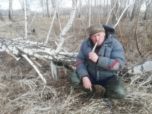 "я в весеннееееем лесууу, грыз берёзовый сооок"