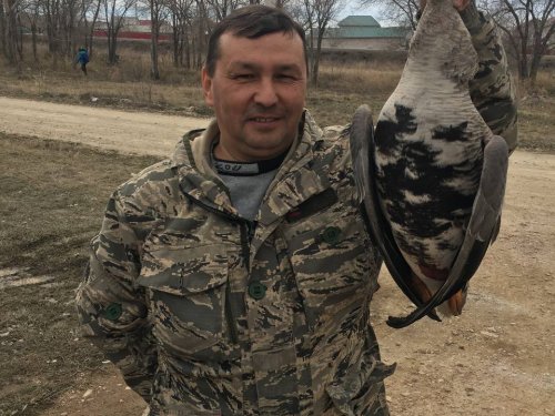 Напарник подогнал гуся