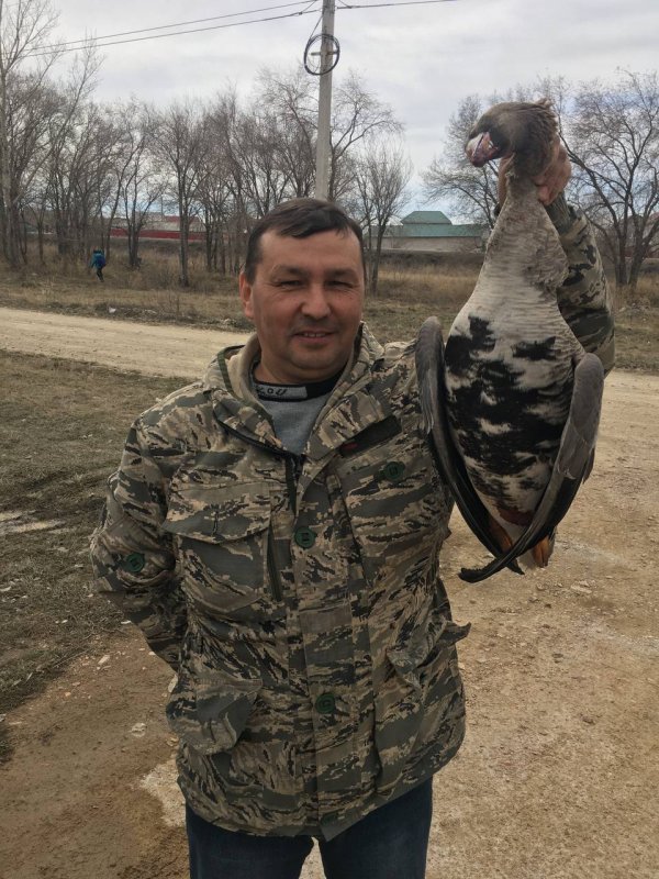 Напарник подогнал гуся