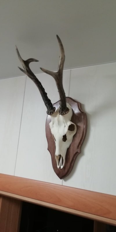На долгую память