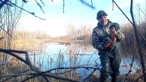 Красивый выстрел !