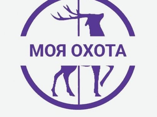 Жители Новосибирской области начали получать электронные разрешения на охоту первыми в России .