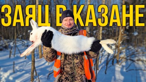 ЗАЯЦ В ПИВЕ \ Дикий заяц в казане: рецепт для дичи