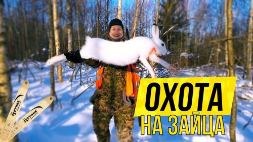 ОХОТА на ЗАЙЦА с гончими зимой 2023 \\ Выстрел \\ Ходовая охота на зайца на лыжах