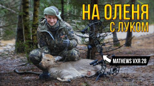ОХОТА НА ОЛЕНЯ с лука! Новая охота с вышки на оленя в деревне Лахи
