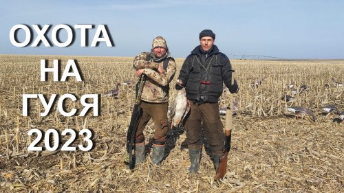 Охота на гуся 2023