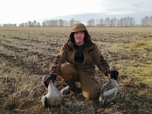 Вот и гуси
