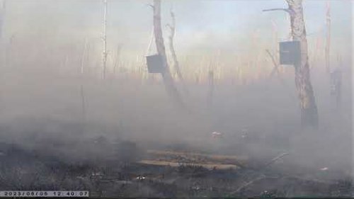 Лесная жизнь животных, ПОЖАРЫ и биотехния охотников. wildlife, FIRE and hunting biotechnology.