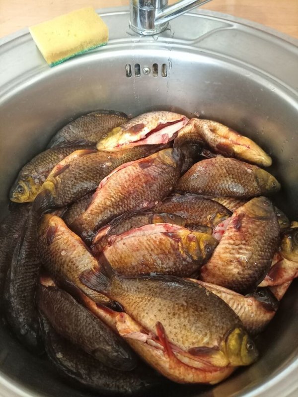 Отличный улов