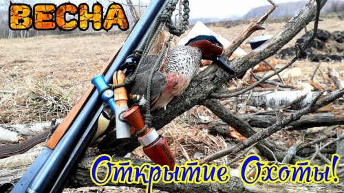 Весенние открытие охоты | Охота с чучелами | Первый день