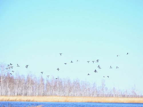 Охота обещала быть удачной