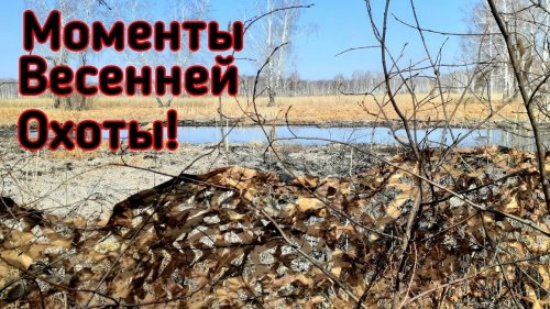 Нашли крупного Секача - Кабана | Моменты с Охоты  | Родные места