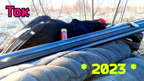 Охота на Тетерева на Току | Весна 2023