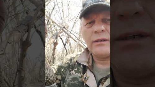8 мая , завершаю охотничий, сезон.