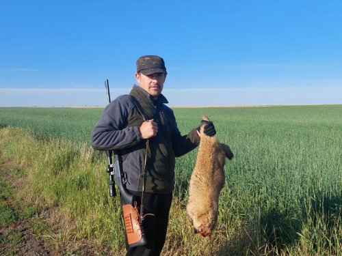 Выезд на сурка
