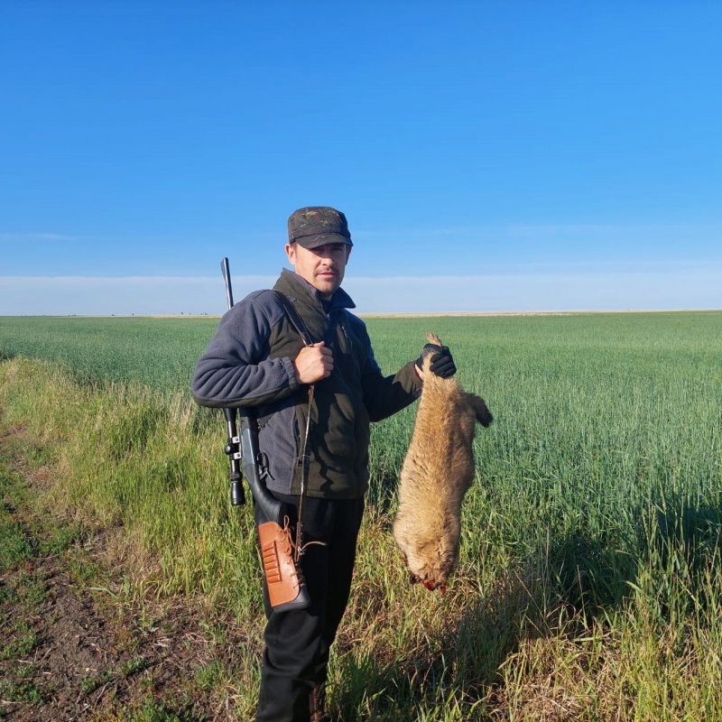 Выезд на сурка