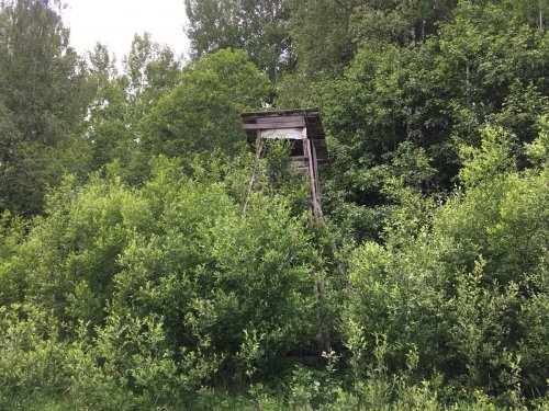 Природная маскировка..