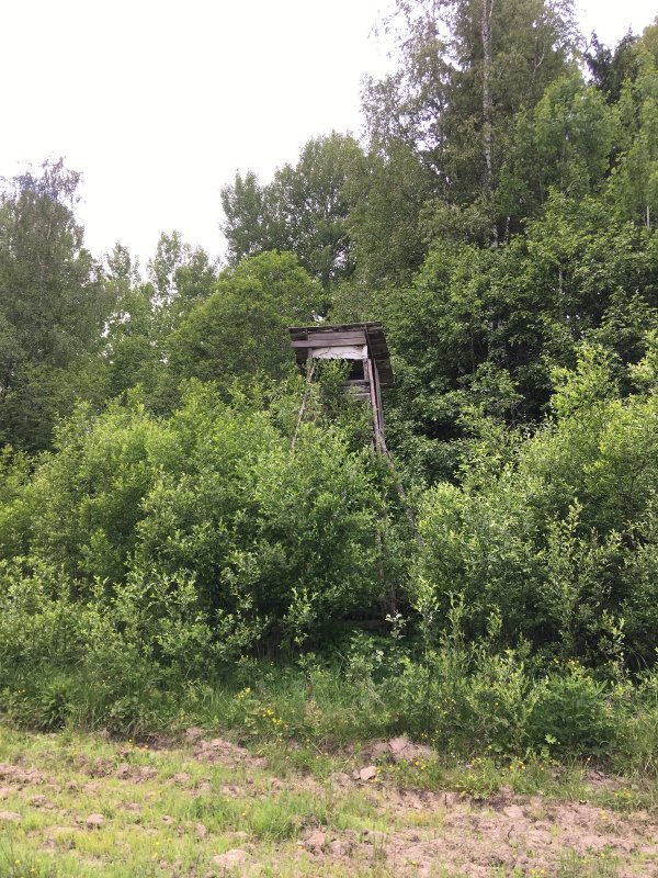 Природная маскировка..