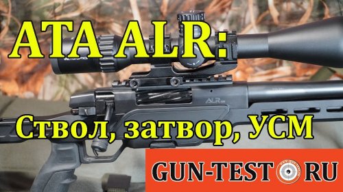 ATA ALR: ствол, затвор, УСМ