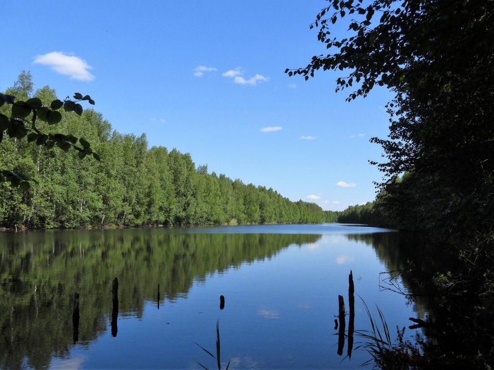 Лето.