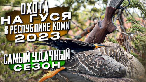 Охота на гуся 2023/Самый лучший сезон/Сходил на ток тетеревов