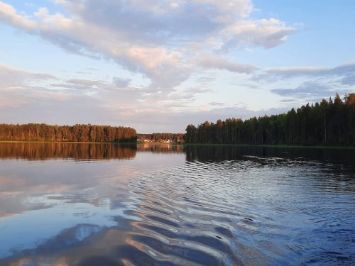 тишина..