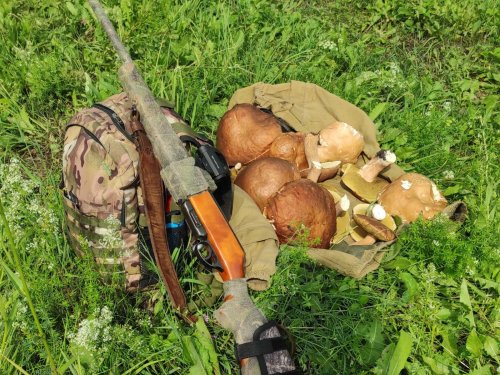 Сурок сегодня не вышел из норы. Вышли вот эти красавцы....