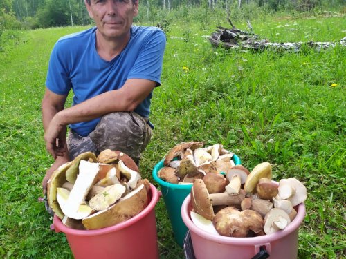 Белого нынче завались)))