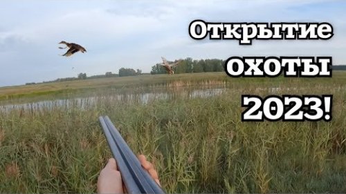 Открытие охоты 2023! Охота на утку! #охотанауток #охота2023