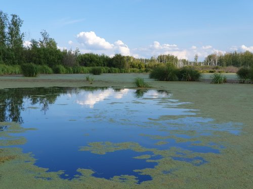 отражения