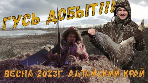 Гусиная охота на Алтае / Добыли первого гуся / Весна 2023 Алтайский край