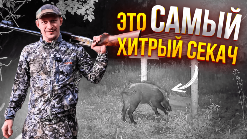 ???? Это была САМАЯ ДОЛГАЯ ОХОТА НА КАБАНА \\ Охотхозяйство УЗМЕНЬ
