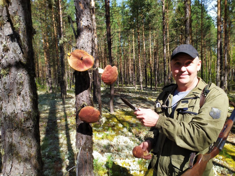 Беличья кладовка.