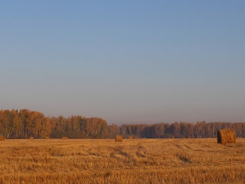 Грусть осени -таится в полумгле