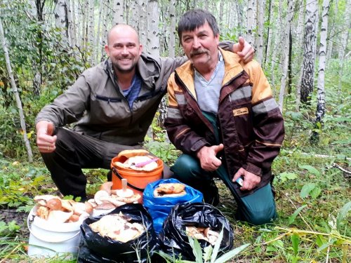 Побрали сырых груздочков....