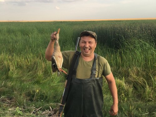 Королевский выстрел.