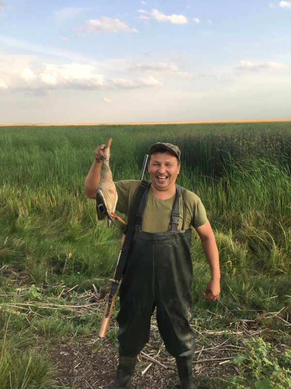 Королевский выстрел.