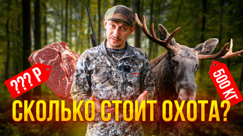 Сколько стоит стать ОХОТНИКОМ? ???? Выгодно ли добывать мясо на охоте? Считаем ЗАТРАТЫ на ОХОТУ!