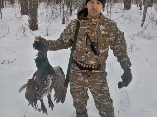 Закрытие по боровой