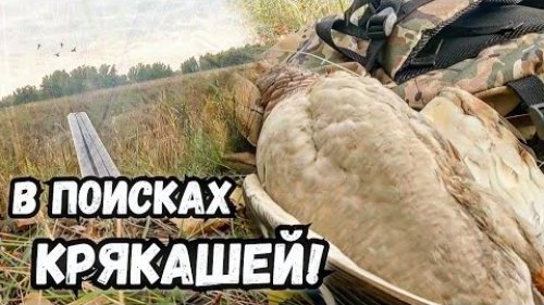 Охота на утку 2023! Охота с подхода. Вечёрка. Иж-43. #охота2023 #кряква