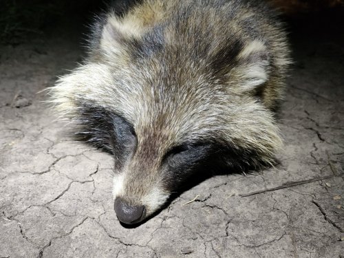 Вся жизнь в одном кадре