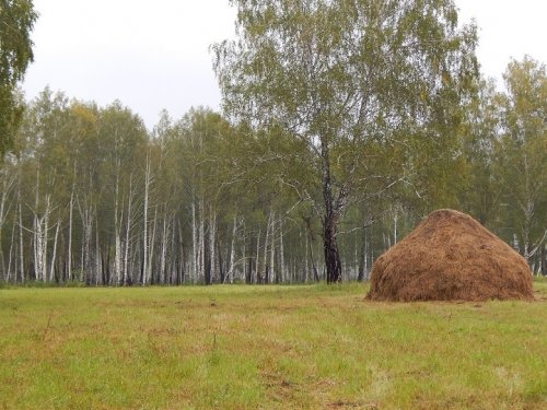 Охотничий синдром ... на пенсии