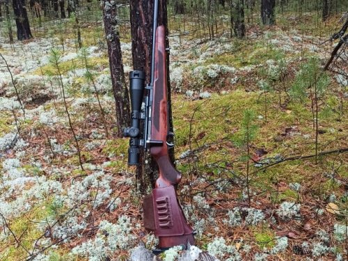 Тихая охота на рябчиков
