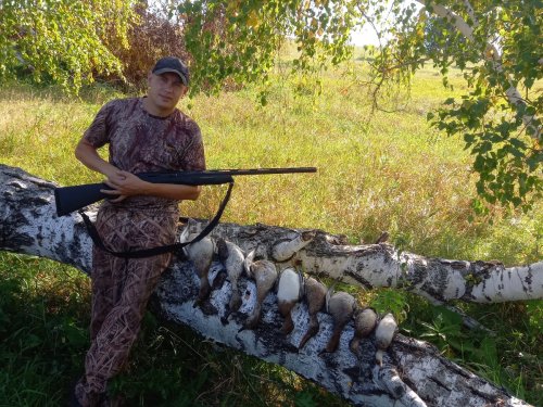 Открыл сезон по утке в прошлые выходные!