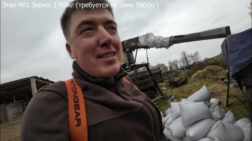 Закормка кабанов, лис и енотов. Запасы на зиму. Feeding wild boars, foxes and raccoons.