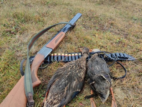 И погода не помешала всех с полем