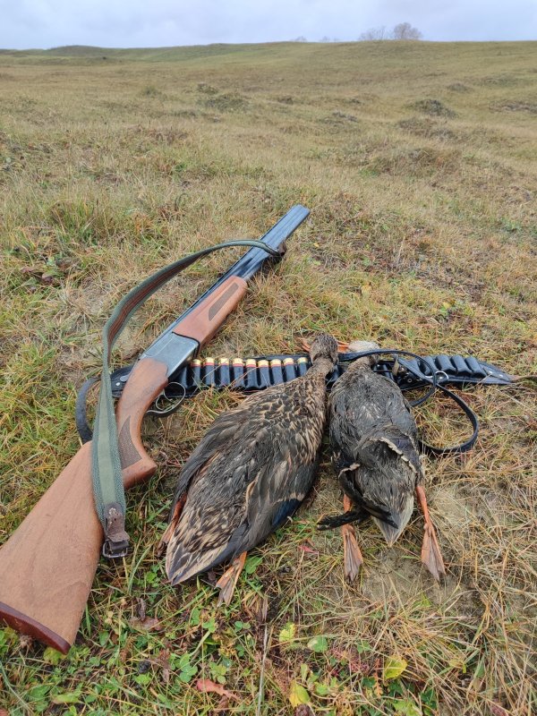 И погода не помешала всех с полем