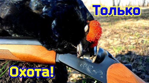 Только Охота | Самое лучшее в кадрах | Для Вас друзья