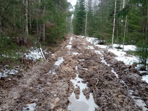 дорогу испоганили